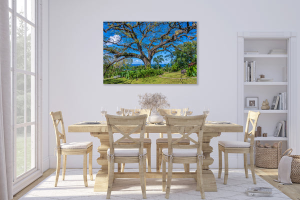 Saint Kitts 4