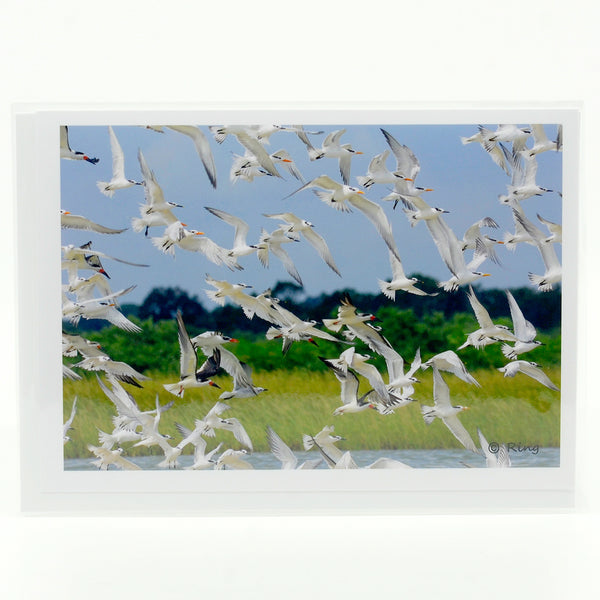 A flock of birds photograph on a greeting card