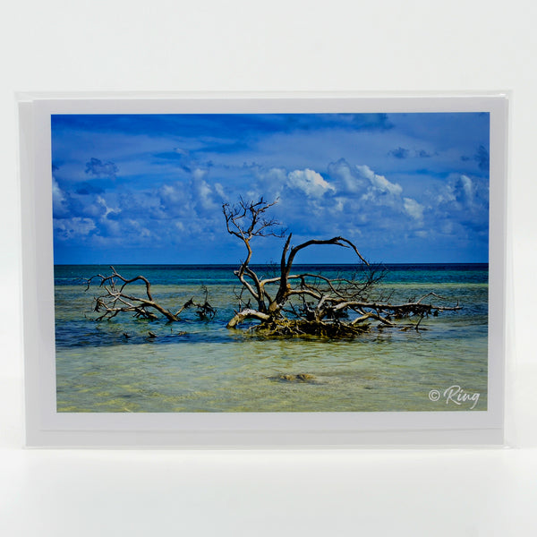 Anne's Beach in Florida Keys photograph on a greeting card