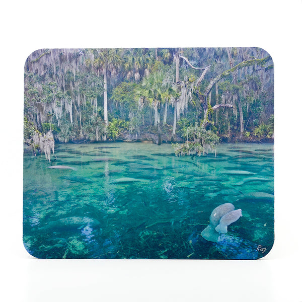Blue Springs State Park manatee photograph on a mouse pad