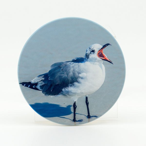 Seagull on the beach photograph on round rubber home coaster