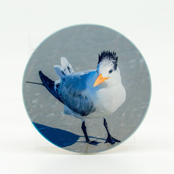 Seagull on the beach photograph on round rubber home coaster
