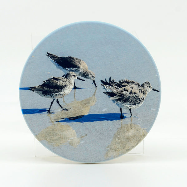 3 Shorebirds on the beach photograph on round rubber home coaster