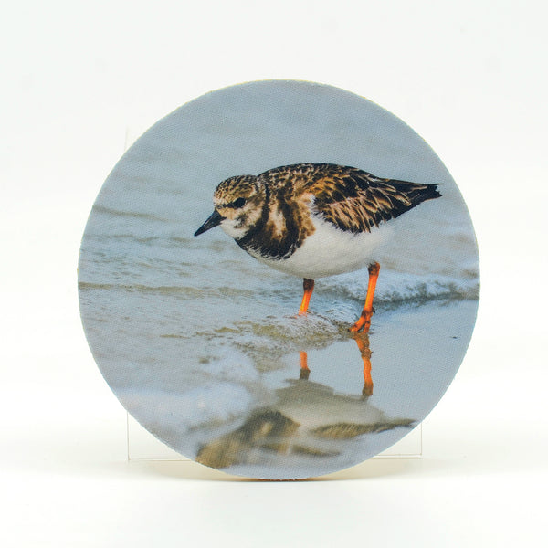 Ruddy Turnstone photograph on a round rubber home coaster