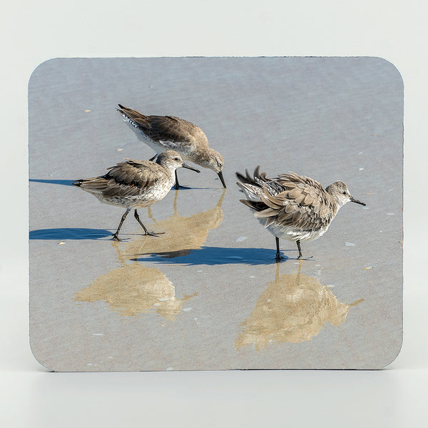 3 Shorebirds on the beach photograph on a mouse pad