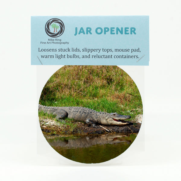 Alligator 1 Gifts