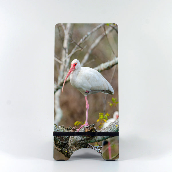 American White Ibis Gifts