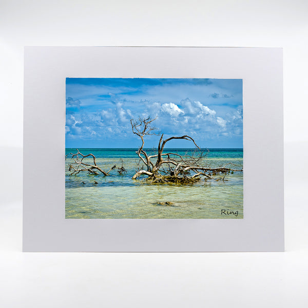 Anne's beach Gifts