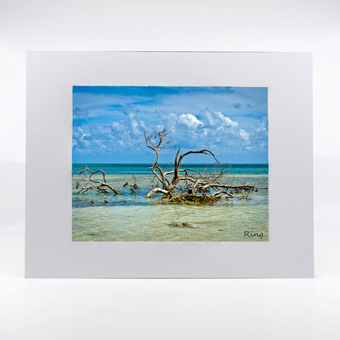 Anne's Beach in Florida Keys photography artwork