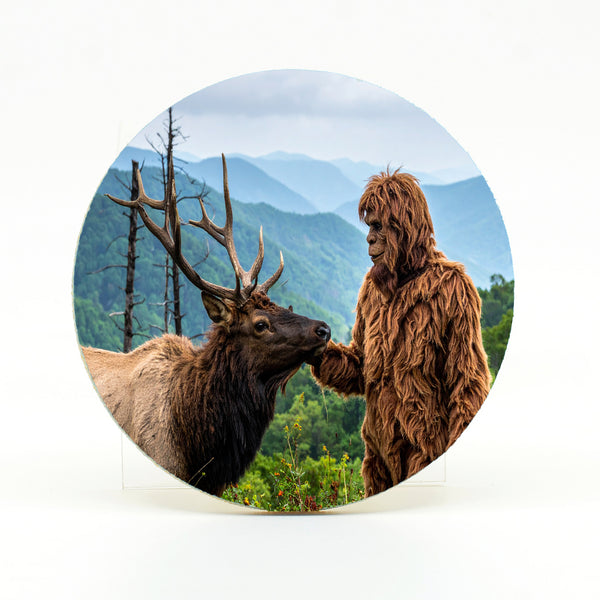 Bigfoot 11 Gifts