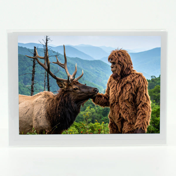 Bigfoot 11 Gifts