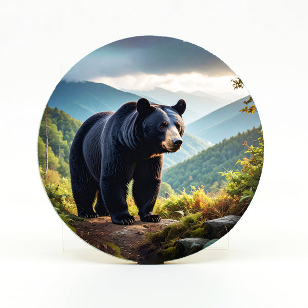Black Bear Gifts