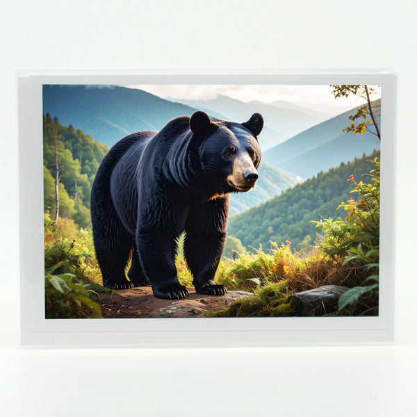 Black Bear Gifts