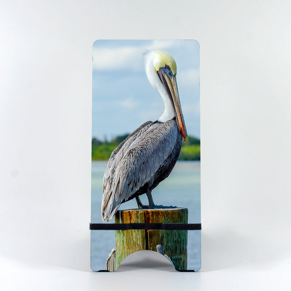 Brown Pelican 4 Gifts