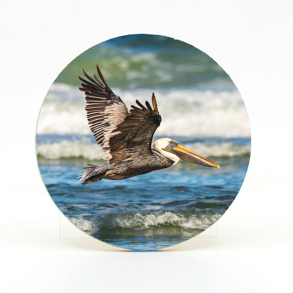 Brown Pelican 6 Gifts