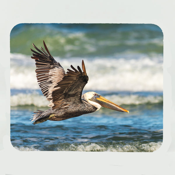 Brown Pelican 6 Gifts