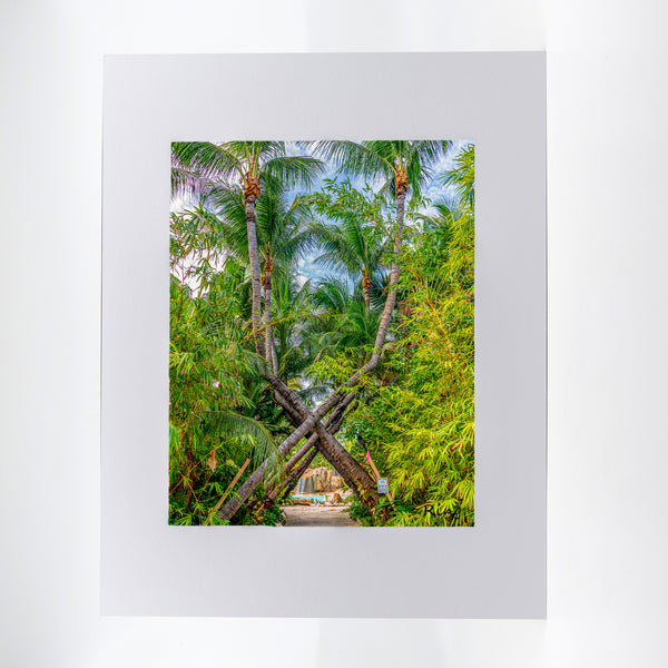 Cheeca Lodge Paradise Gifts