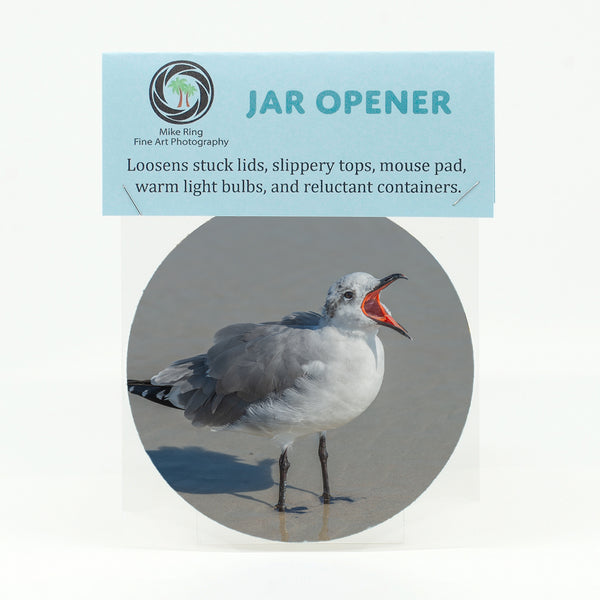 Laughing Gull Gifts