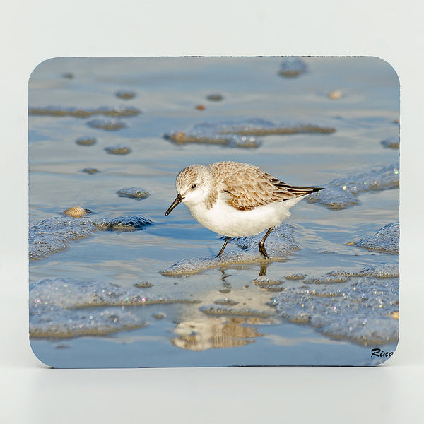 Sandpiper on the beach photograph on a mouse pad