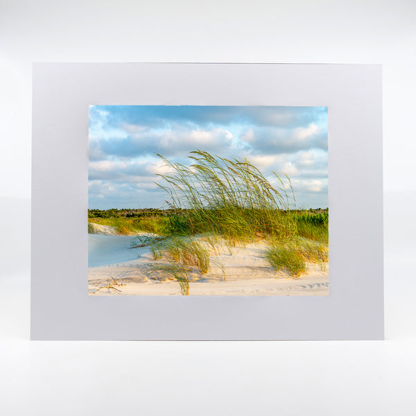 Sea Oats at Sunrise 1 Gifts