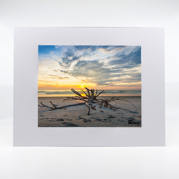 Seashore's Treasure Gifts