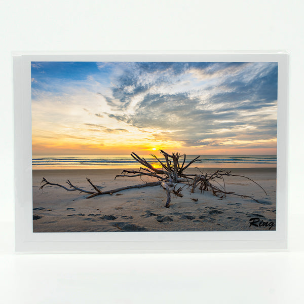 Seashore's Treasure Gifts