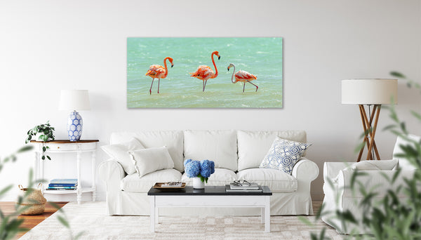 Flamingo's 10