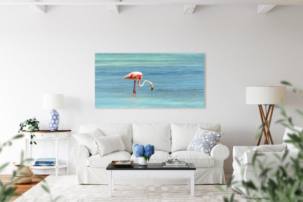 Flamingo's 2