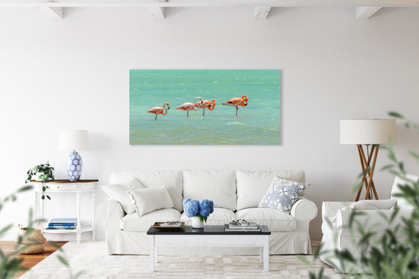 Flamingo's 5
