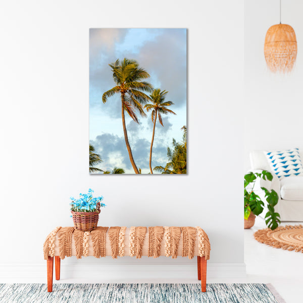 Breezy Palms 2