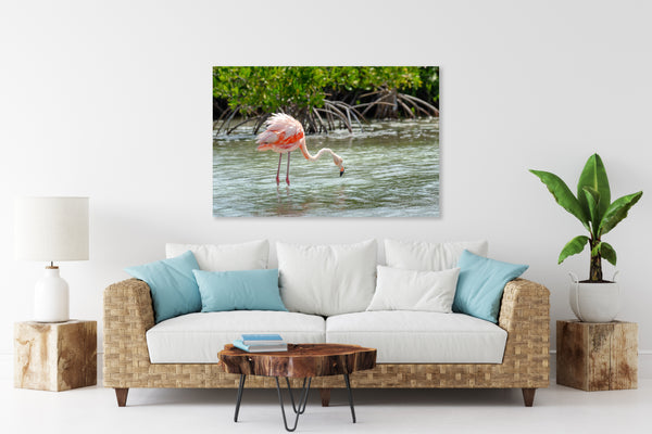 Flamingo's 8