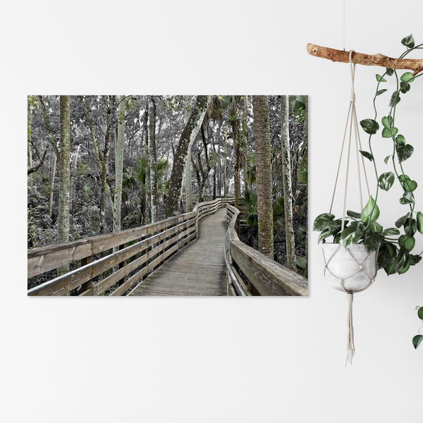 Blue Springs Hammock