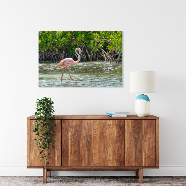 Flamingo's 7