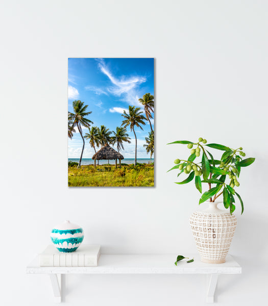 Coconut Paradise 2