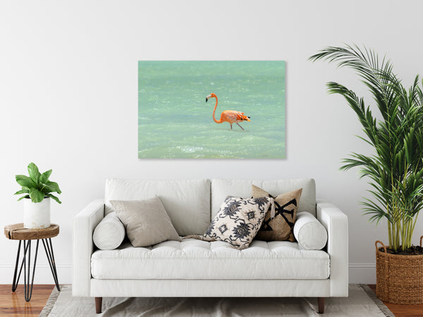 Flamingo's 4