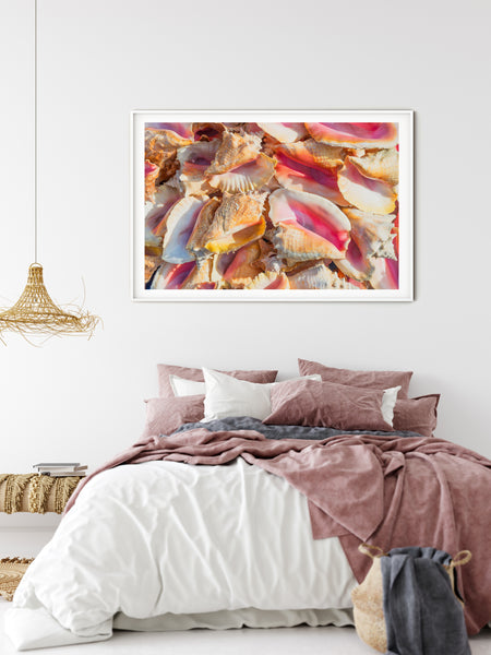 Conch Mon