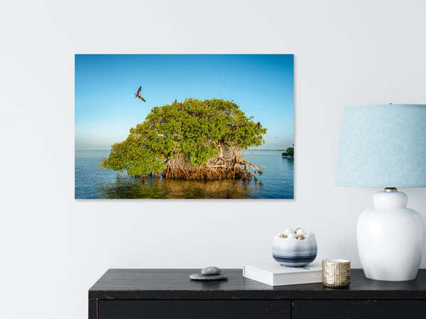 Frigate Bird Island