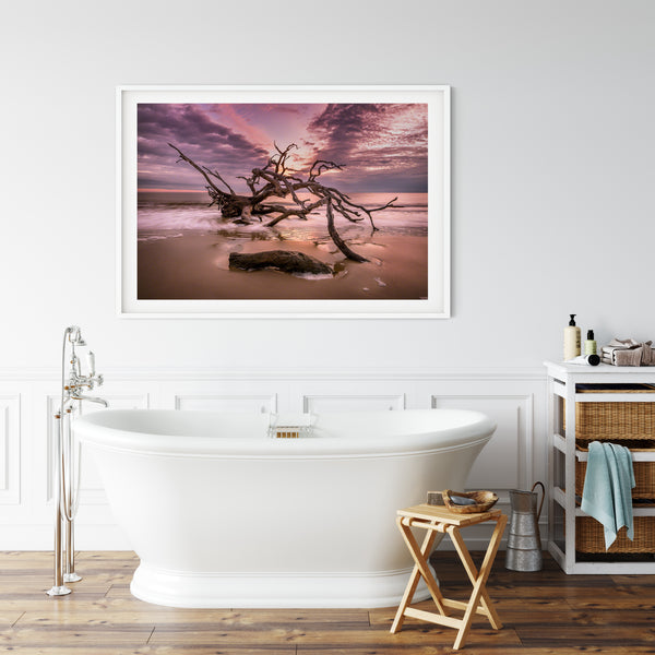 Driftwood Beach 1