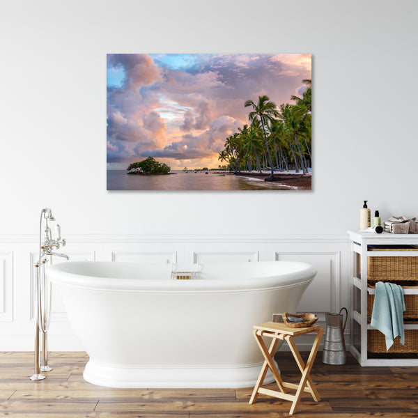 Tropical Dreams