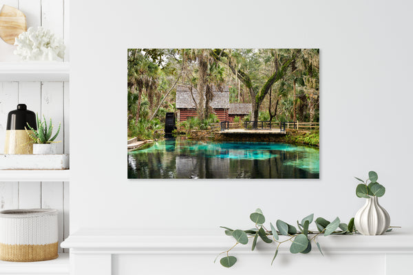 Juniper Springs 2