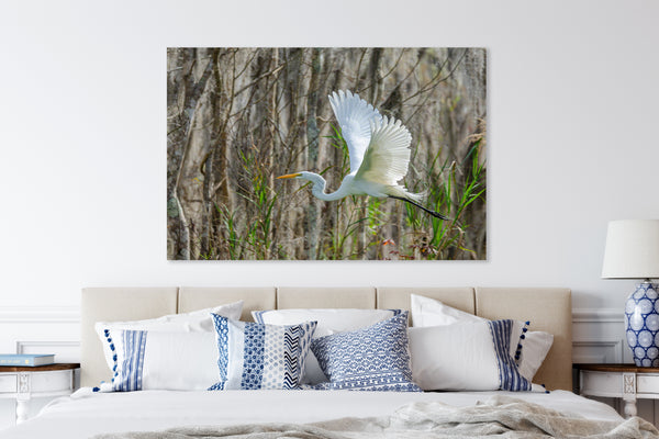 Great Egret 4