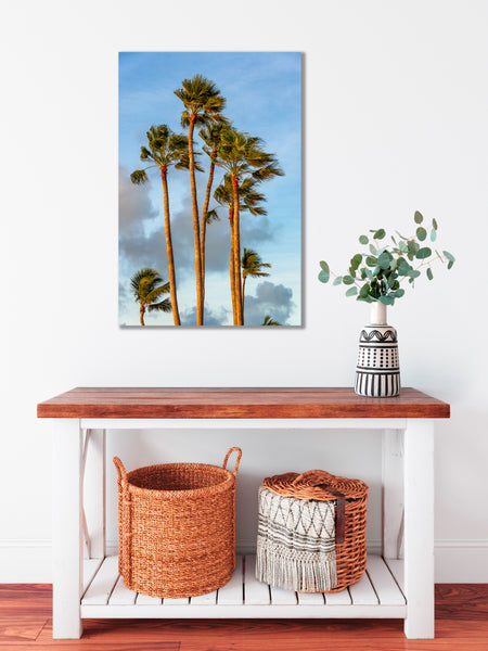 Breezy Palms 1