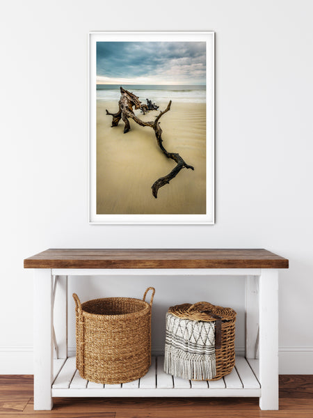 Driftwood Beach 2