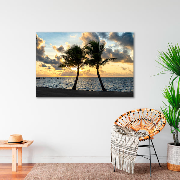 Coconut Dance 1