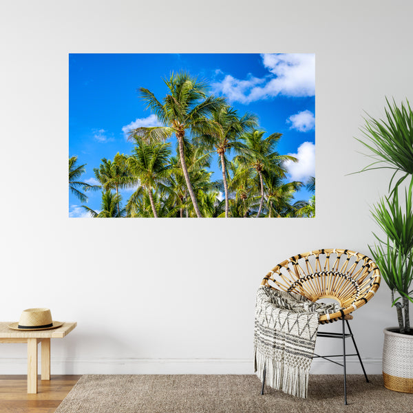 Coconut Tree Convention