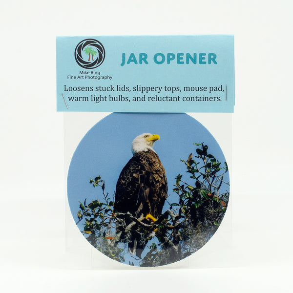 An American Bald Eagle in a live oak tree by Blue Spring's State Park. Photograph on a rubber jar opener