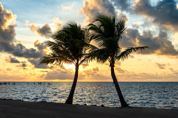 Coconut Dance 1