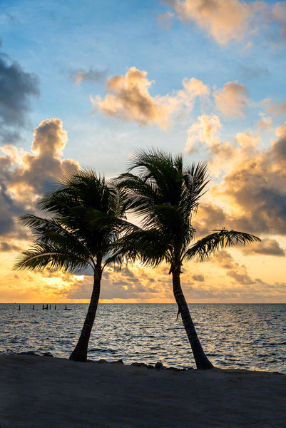 Coconut Dance 2
