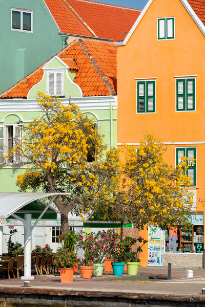 A photo of the colorful Dutch architecture in Curacao