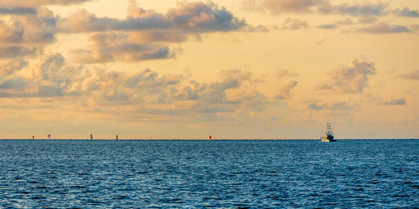 Gone Fishing 1